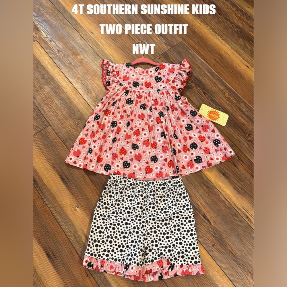 NWT 4T Southern Sunshine Kids ladybugs & hearts two piece outfit